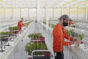 https://investgreen.vn/cdn/upload/file/2023/06/0001/nong-nghiep-cong-nghe-cao-lao-dao-vi-han-han-nguon-von.jpg